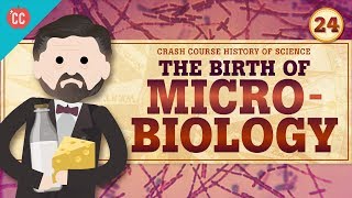 MicroBiology Crash Course History of Science 24 [upl. by Sivam]