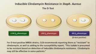 Antibiotic Resistance Antibiotics  Lecture 9 [upl. by Atteuqram]