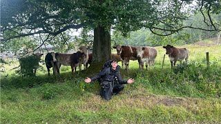 West Highland Way A WET Day 1 [upl. by Walliw]