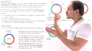 Plasmids and Recombinant DNA Technology [upl. by Nagad]