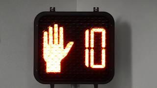 Pedestrian Countdown Signal Dialight 4306479001X [upl. by Acilef]