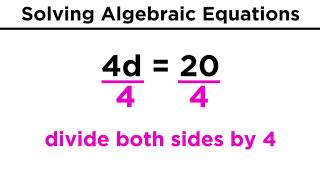 Algebraic Equations and Their Solutions [upl. by Annauqal]