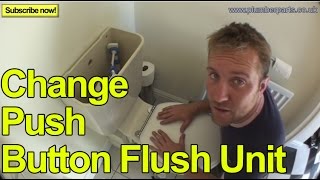 HOW TO CHANGE A PUSH BUTTON FLUSH UNIT  Plumbing Tips [upl. by Izawa]