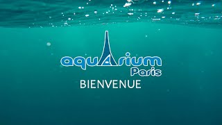 Bienvenue à lAquarium de Paris [upl. by Dlonyar]