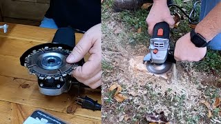 How To Get Rid Of Tree Roots FAST [upl. by Deron]