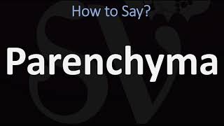 How to Pronounce Parenchyma CORRECTLY [upl. by Kenaz]