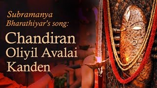 Pariyerum Perumal  Naan Yaar Video Song  Kathir  Santhosh Narayanan  Pa Ranjith  Mari Selvaraj [upl. by Belden]