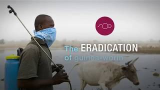 Eradicating Guineaworm [upl. by Ycinuq]