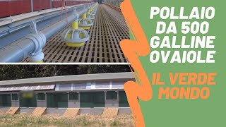 Pollaio da 500 Galline Ovaiole  Il Verde Mondo [upl. by Rheinlander]