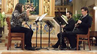 Adagio and Allegro WA Mozart Woodwind Quartet [upl. by Osnofledi]