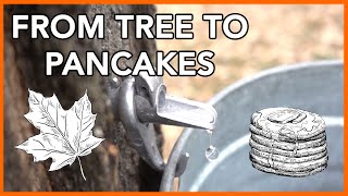 Making Maple Syrup at Home Start to Finish [upl. by Emelin206]