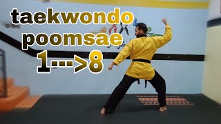 Taekwondo Poomsae 1  8 [upl. by Inaluahek]