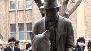 Unveiling of statue depicting Hachi and his owner [upl. by Iveson]