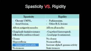 Spasticity vs Rigity amp Decerebrate vs Decorticate [upl. by Malamud]