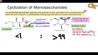 1604 Cyclization of Monosaccharides [upl. by Nnaeiluj]