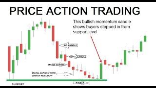 Price Action Trading The Professional Secrets of Price Action Trading [upl. by Had]