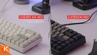 Cherry MX Red Switches Vs Gateron Red Switches Typing Sounds ASMR [upl. by Elime]