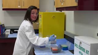 Intro to Multichannel Pipetting [upl. by Ailiec594]