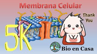 TODO sobre Membrana celular [upl. by Petronilla]