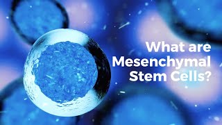 What are mesenchymal stem cells [upl. by Oiratnom]