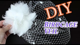 DIY Birdcage Bridal Veil [upl. by Gnot]