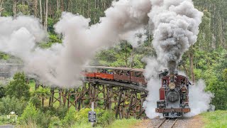 A Day at Puffing Billy Railway  2021 [upl. by Nahem]