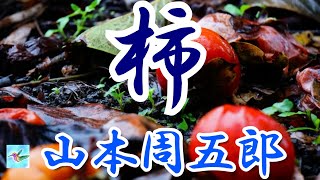 【朗読】柿 山本周五郎 読み手アリア [upl. by Boothe245]