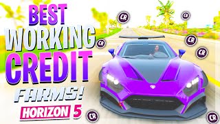 NEW Forza Horizon 5 Money Glitch  FH5 AFK Money Race [upl. by Onia]