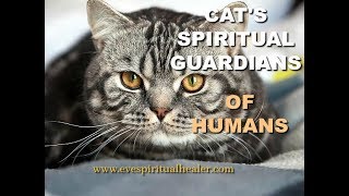 Cats Spiritual Guardians Of Humans [upl. by Eahcim]