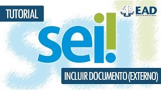 SEI  Incluir documento externo [upl. by Ybrek]