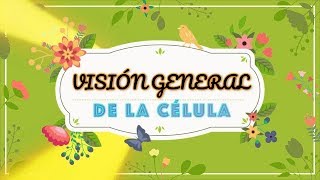 célula organelos y funciones [upl. by Elohcin]