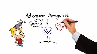 Pharmacology  ALPHA amp BETA BLOCKERS  ADRENERGIC ANTAGONISTS  MADE EASY [upl. by Lombard]