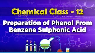 Preparation of Phenol From Benzene Sulphonic Acid  Alcohols Phenols and Ethers [upl. by Roter]