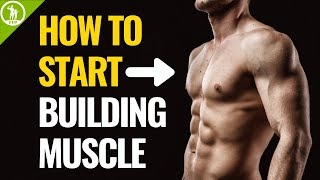 How To Start Building Muscle For Beginners [upl. by Abran305]