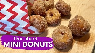 Homemade Mini Donuts Recipe just like the ones at the FAIR [upl. by Enenaej608]