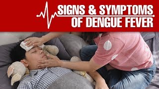 Understanding Dengue Symptoms Treatment amp Prevention  Dr Birjis Shaikh  Narayana Health [upl. by Esilana478]