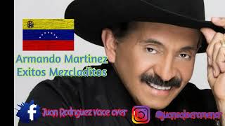 Armando Martinez Exitos Mezcladitos [upl. by Aiam]