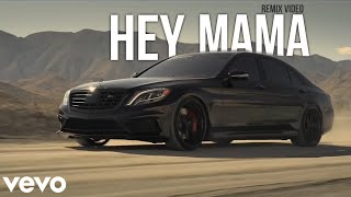 David Guetta  Hey Mama ERS REMIX  Car Remix Video [upl. by Iclehc922]