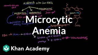 Microcytic anemia  Hematologic System Diseases  NCLEXRN  Khan Academy [upl. by Emmalyn]