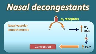 Nasal decongestant  How they act [upl. by Besse18]