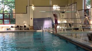 Teach a Flip for Springboard Diving [upl. by Sldney767]