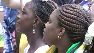 Oliver Mtukudzi  Responsibilities  LIVE at Afrikafestival Hertme 2013 [upl. by Fasano]