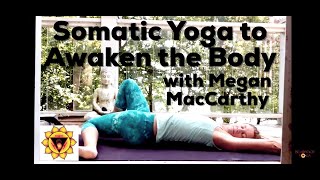 Somatic Yoga to Awaken the Body [upl. by Sirovaj]