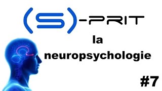 La neuropsychologie en 4 points  Sprit 7 [upl. by Fermin771]