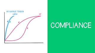 32 Respiratory Compliance [upl. by Catie]