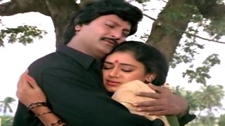 Gorintaku Video Songs  Yedarilo Koyila Video Song  Rajasekhar Aarti Agarwal  Sri Balaji Video [upl. by Ronyam]