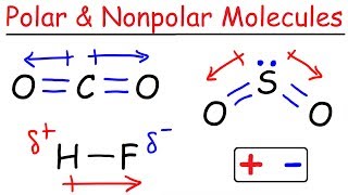 Polar and Nonpolar Molecules [upl. by Affra]