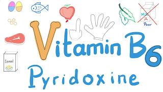 Vitamin B6 Pyridoxine  Diet and Nutrition Series [upl. by Phaidra]