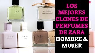 😍 CLONES de PERFUMES ZARA 2019  2023  Mujer y hombre  EQUIVALENCIAS [upl. by Boyes]