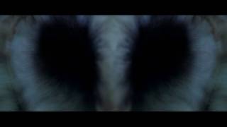 PHENOMENES PARANORMAUX  Bandeannonce  VF [upl. by Morrissey897]